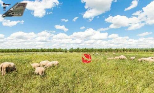 Agroturismo Farm Stay Orlov Put