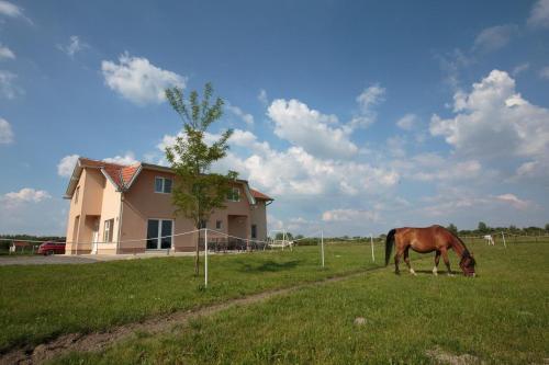 Hostal Family Room Bilje 14318e