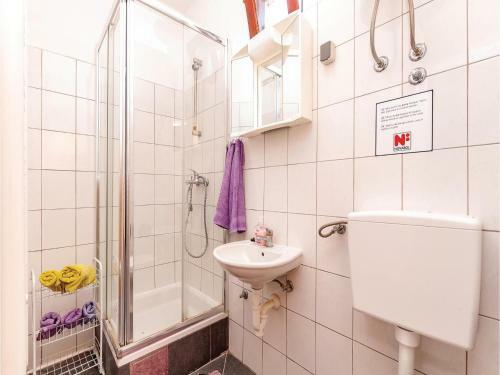 Apartment Gomljanik V