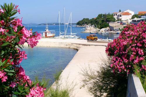 Apartment Brodarica 4195a