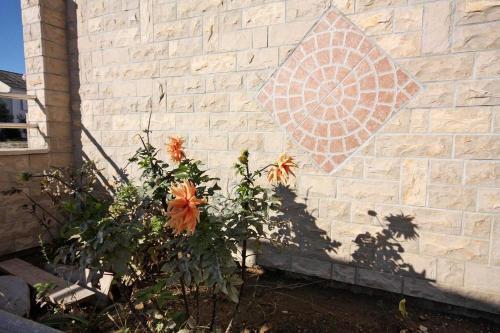 Apartamentos Studio Brodarica 4835b
