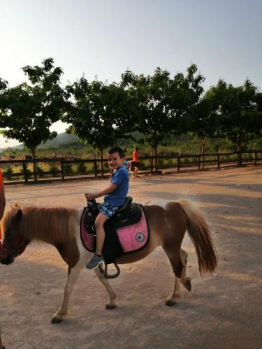 Apartments Villa Korina