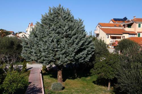 Hostal Pansion Zlatna Ribica