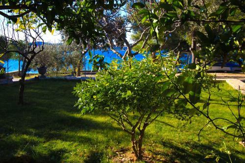 Hostal Pansion Zlatna Ribica