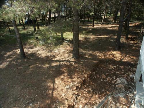 Apartments By The Sea Zman (dugi Otok) - 873