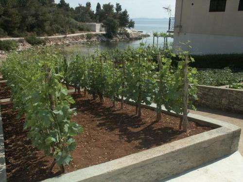 Apartments By The Sea Zman (dugi Otok) - 873