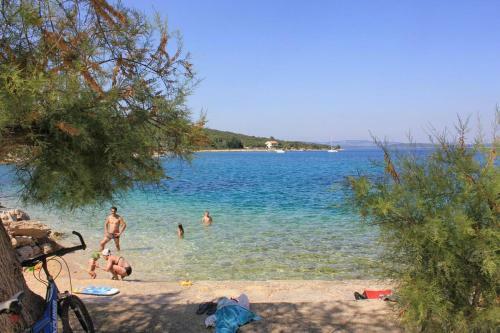 Holiday Apartments Zman (dugi Otok) - 887