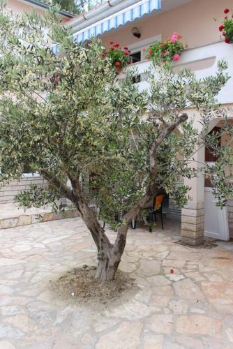 Apartment Zubovici 6356g