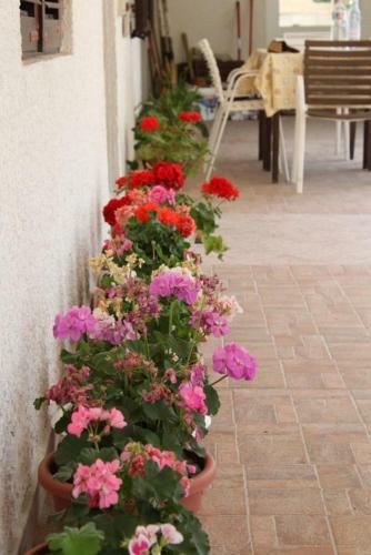 Apartment Metajna 6466h