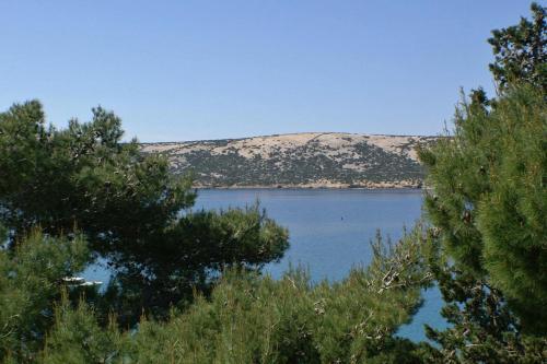Apartment Stara Novalja 234d