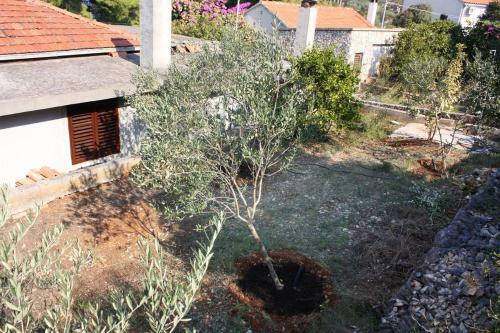Apartments By The Sea Necujam (solta) - 5186