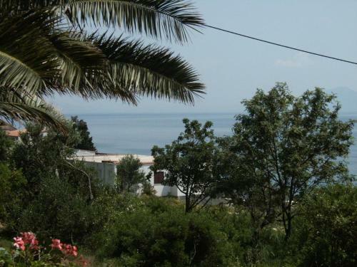 Apartments By The Sea Sucuraj (hvar) - 578
