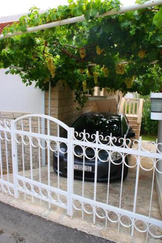Apartments By The Sea Sumartin (brac) - 14703