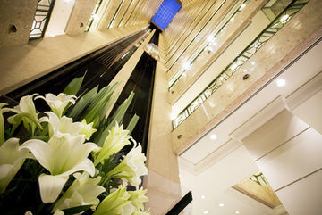 Hotel Stamford Mel 1bed 1314 Non Ref