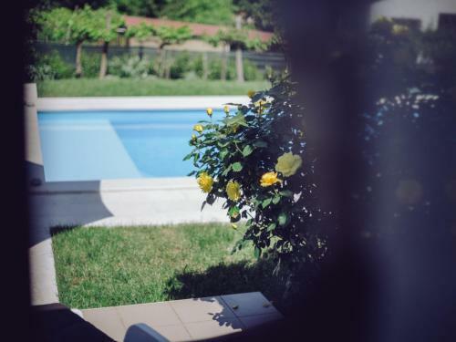 Holiday Home Nono
