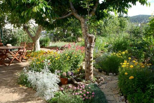 Apartments By The Sea Tkon (pasman) - 820