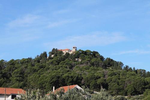 Apartments By The Sea Tkon (pasman) - 5825