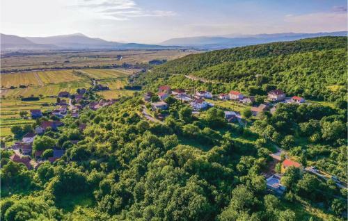 Two-bedroom Holiday Home In Trilj