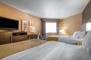Hotel Comfort Inn & Suites