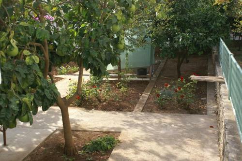 Apartamentos Studio Seget Vranjica 1036c