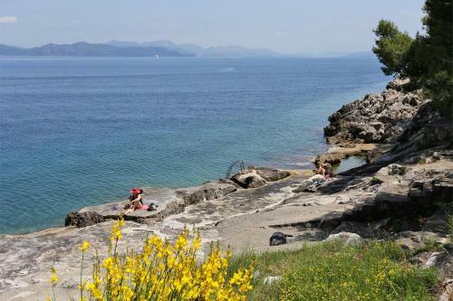 Apartments With A Parking Space Trpanj (peljesac) - 10111