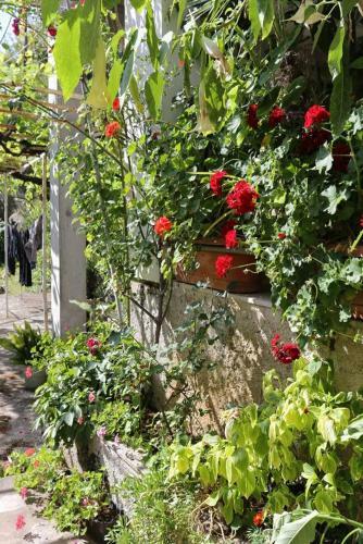 Apartments With A Parking Space Trpanj (peljesac) - 10111