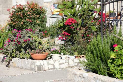 Apartment Trstenik 4570a