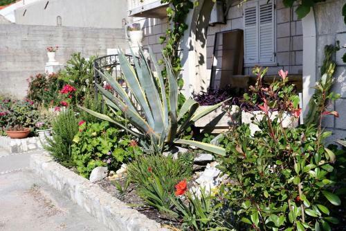 Apartment Trstenik 4570a