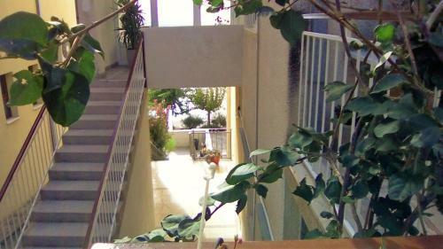Apartments Malina