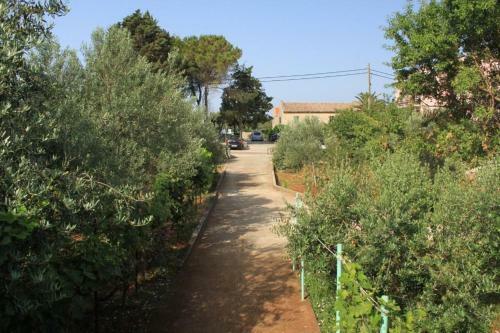 Apartments By The Sea Ugljan - 8304