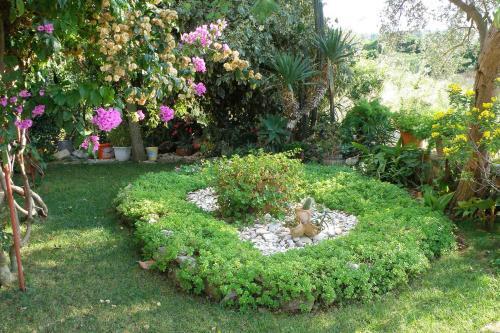 Apartments By The Sea Ugljan - 8468