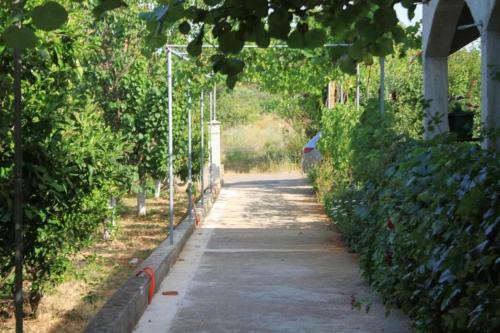 Apartment Ugljan 8264a