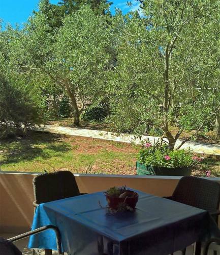 Apartments With A Parking Space Ugljan - 8241