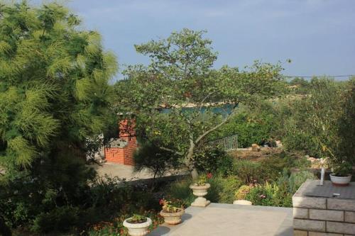 Apartments By The Sea Ugljan - 8519