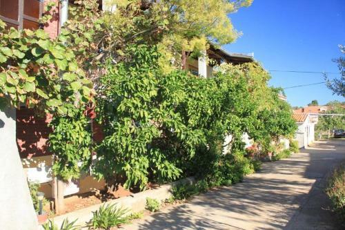 Apartments By The Sea Ugljan - 8423