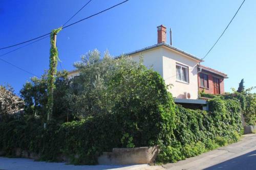 Apartments By The Sea Ugljan - 8423