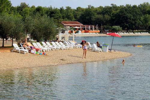 Apartments With A Parking Space Murine (umag) - 14994