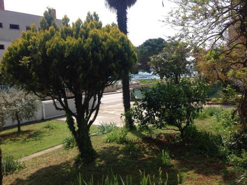 Apartments By The Sea Umag - 13111