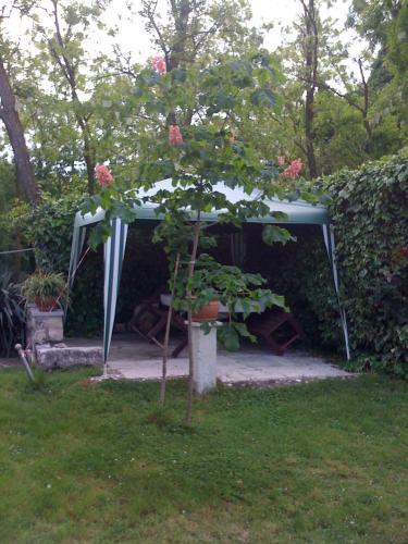Apartamento House Umag (4222)