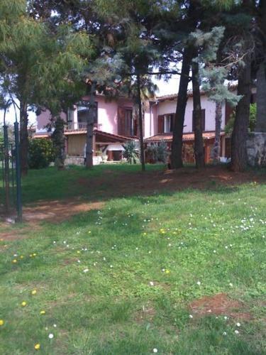 Apartamento House Umag (4222)