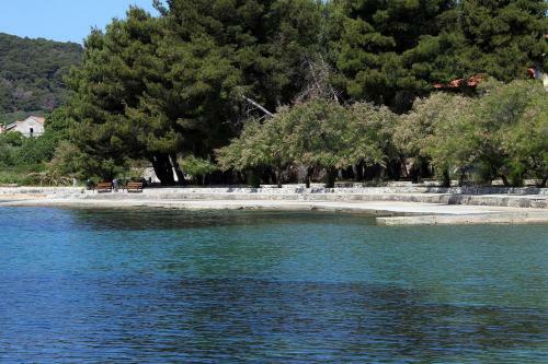 Apartments By The Sea Veli Iz (iz) - 6255
