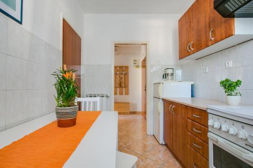 Apartments Petar