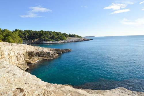 Apartment In Pula/istrien 11456