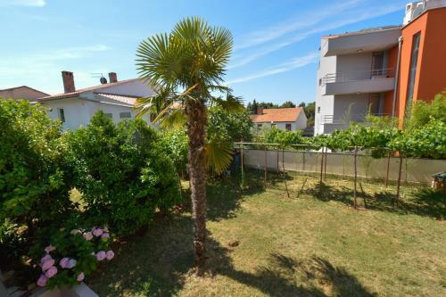 Apartment In Pula/istrien 11456