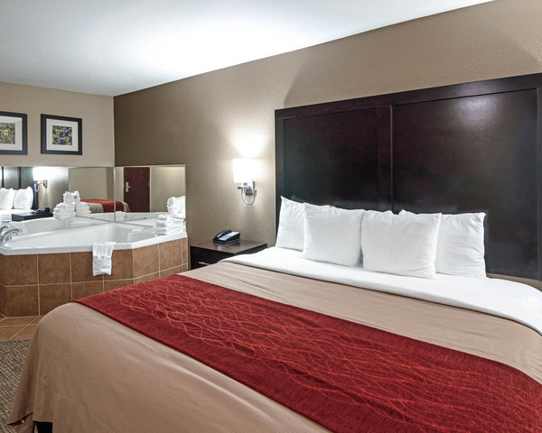 Hotel Comfort Inn & Suites Fm1960-champions