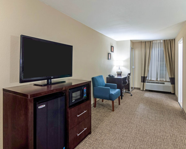 Hotel Comfort Inn & Suites Fm1960-champions