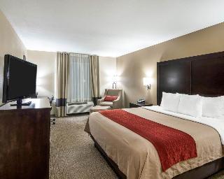 Hotel Comfort Inn & Suites Fm1960-champions