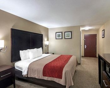 Hotel Comfort Inn & Suites Fm1960-champions