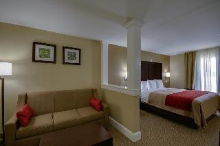 Hotel Comfort Inn & Suites Fm1960-champions