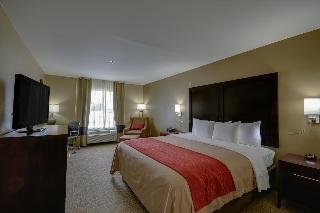 Hotel Comfort Inn & Suites Fm1960-champions